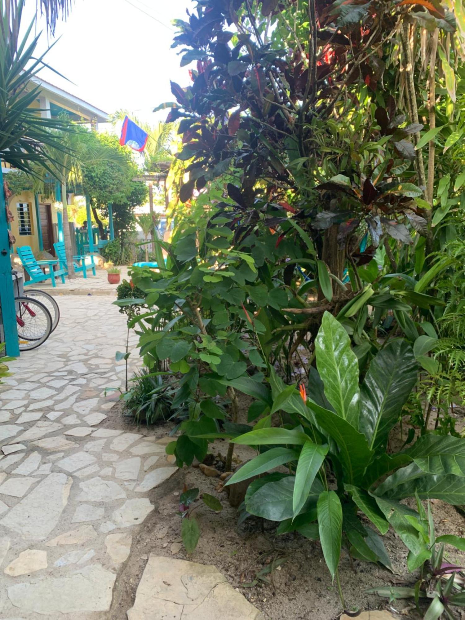 All Seasons Belize Hopkins Ngoại thất bức ảnh